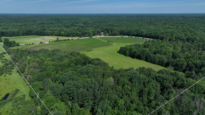 38.85-Acre Hunting & Recreational Property for Sale in Wood Cty