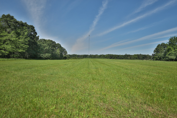 38.85-Acre Hunting & Recreational Property for Sale in Wood Cty