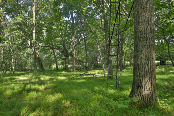 38.85-Acre Hunting & Recreational Property for Sale in Wood Cty
