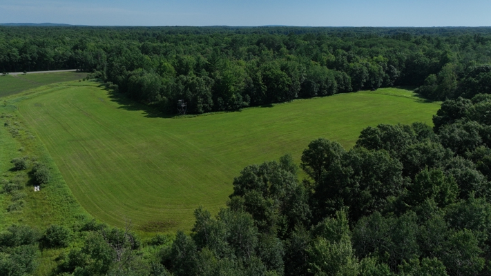 38.85-Acre Hunting & Recreational Property for Sale in Wood Cty