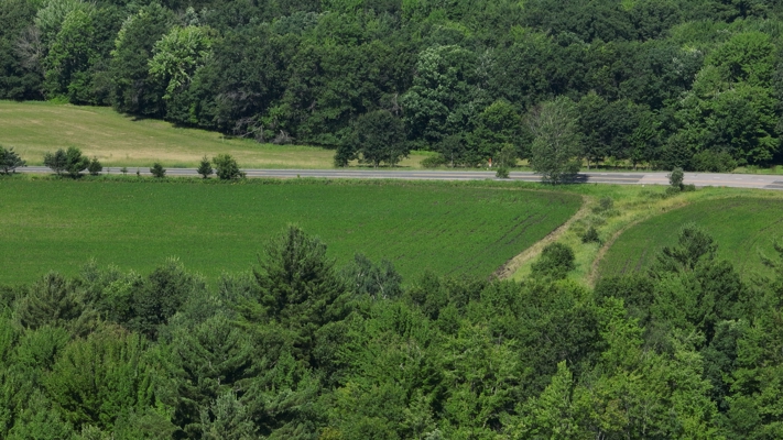 38.85-Acre Hunting & Recreational Property for Sale in Wood Cty