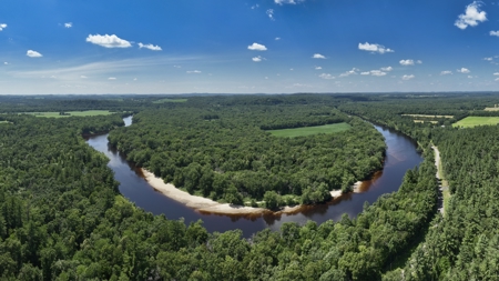 235± Acre Black River Waterfront & Recreational Estate - image 3