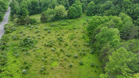 25-Acre Homestead Ready for Your Country Dream - image 11