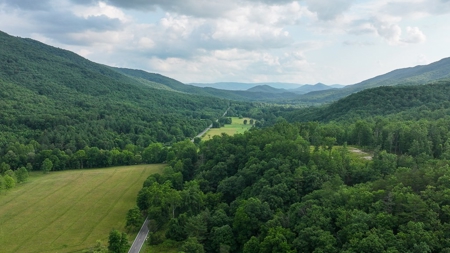 25-Acre Homestead Ready for Your Country Dream - image 9