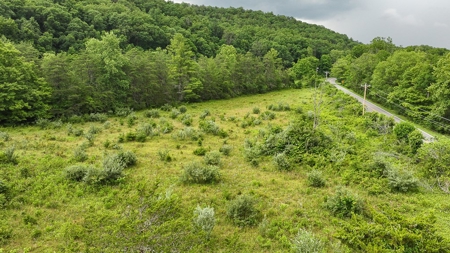 25-Acre Homestead Ready for Your Country Dream - image 8