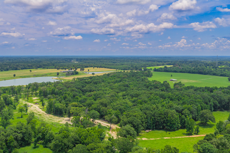 East TX Cattle Ranch & Hunting Land, Marshall Tx For Sale - image 6