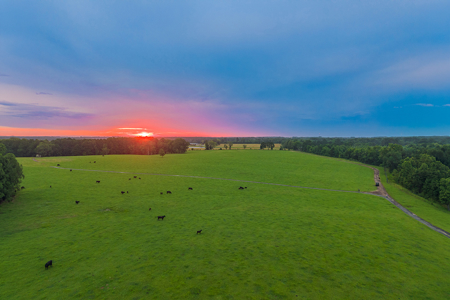 East TX Cattle Ranch & Hunting Land, Marshall Tx For Sale - image 2
