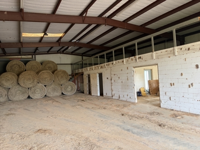 East TX Cattle Ranch & Hunting Land, Marshall Tx For Sale - image 30