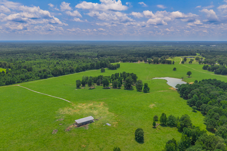 East TX Cattle Ranch & Hunting Land, Marshall Tx For Sale - image 5