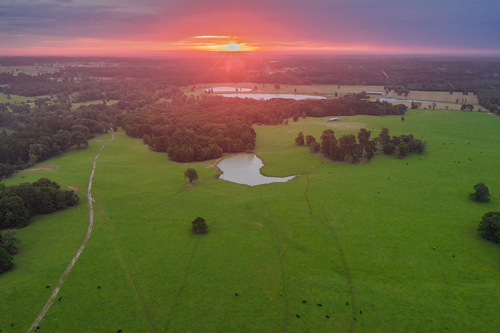 East Tx Ranch- aerial sunrise view of cattle pastures and two lakes