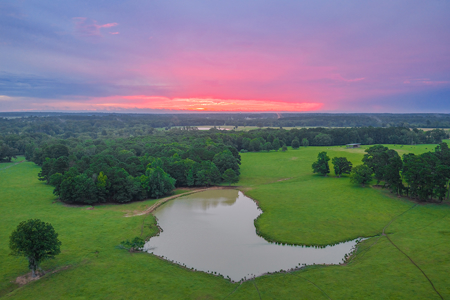 East TX Cattle Ranch & Hunting Land, Marshall Tx For Sale - image 3