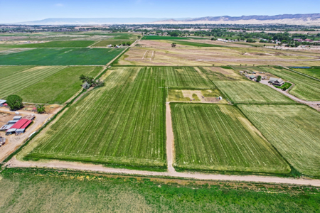 Buildable Farm Land For Sale in Montrose CO - image 4