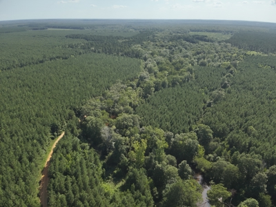 Pine Land near Camden, AR W/ Creek W/Pond W/ County Road for Sale - image 24