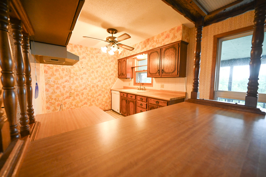 No Caption