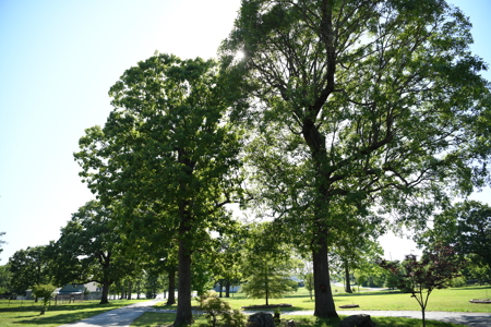 An Exceptional and Rare 19.4± Acre Hobby Farm - image 17