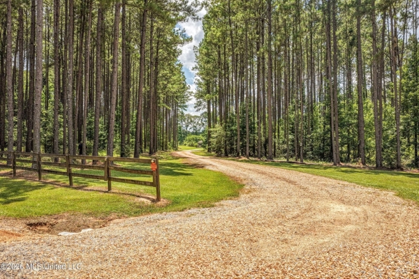 Amite County MS House with 10 Acres