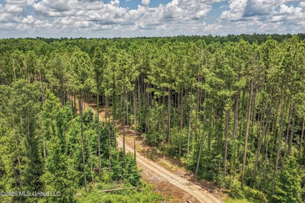 Amite County MS House with 10 Acres