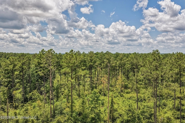 Amite County MS House with 10 Acres
