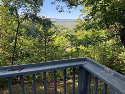Country Home w/Waterfall on 29 Acres Newton County For Sale - image 20