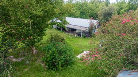 Over 40 Acres for Sale In Live Oak, FL - image 5