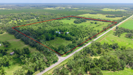 Over 40 Acres for Sale In Live Oak, FL - image 13