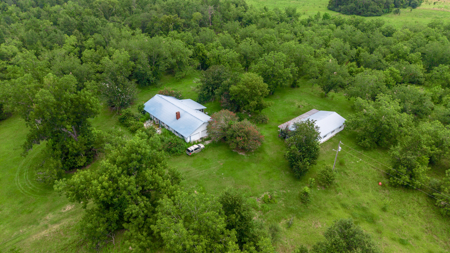 Over 40 Acres for Sale In Live Oak, FL - image 28
