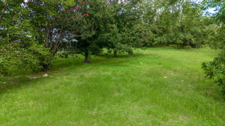 Over 40 Acres for Sale In Live Oak, FL - image 22