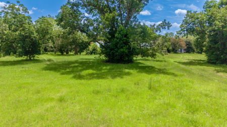Over 40 Acres for Sale In Live Oak, FL - image 1