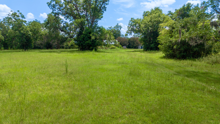 Over 40 Acres for Sale In Live Oak, FL - image 15