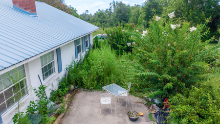 Over 40 Acres for Sale In Live Oak, FL - image 14