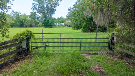 Over 40 Acres for Sale In Live Oak, FL - image 17