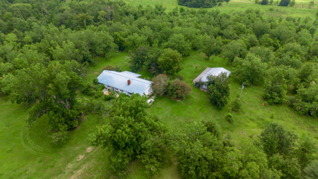 Over 40 Acres for Sale In Live Oak, FL - image 27