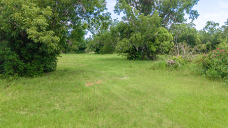 Over 40 Acres for Sale In Live Oak, FL - image 9