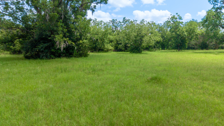Over 40 Acres for Sale In Live Oak, FL - image 16