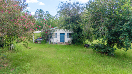 Over 40 Acres for Sale In Live Oak, FL - image 7