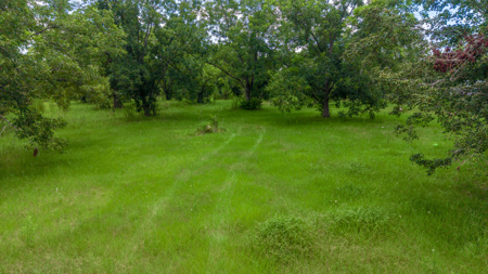 Over 40 Acres for Sale In Live Oak, FL - image 25