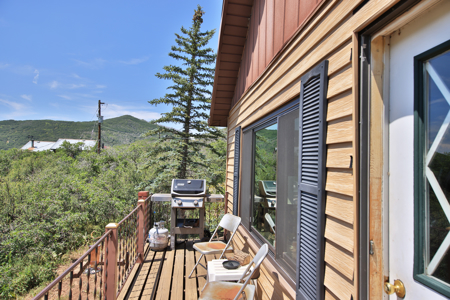 Cabin For Sale at Vega State Park in Colorado - image 24