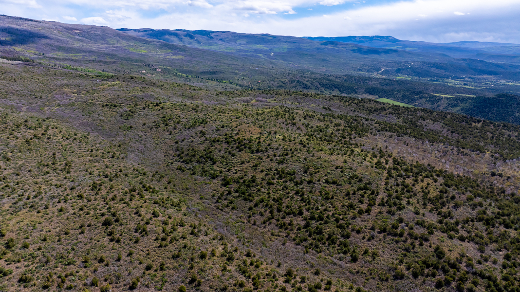 No Caption
