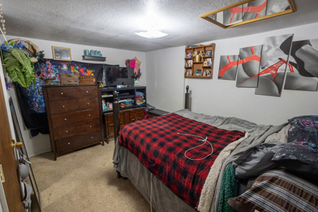 Cedaredge, CO Investment Property For Sale - image 26