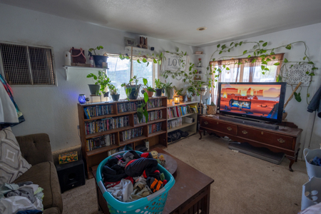 Cedaredge, CO Investment Property For Sale - image 18