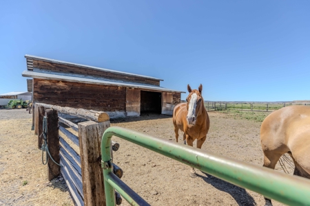 Eastern Oregon Springston Homestead Located Outside of Burns - image 36