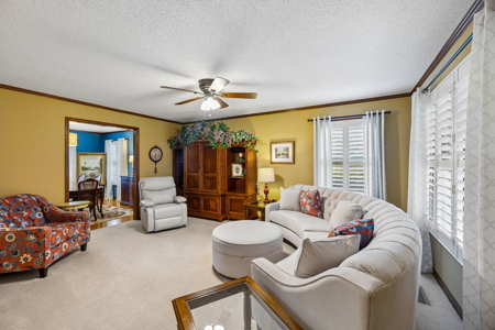 Country Home with Acreage for Sale in McMinn County, Tennessee - image 10