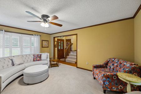 Country Home with Acreage for Sale in McMinn County, Tennessee - image 9