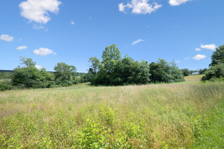 Prime Commercial Development Opportunity in Crossville, TN - image 19