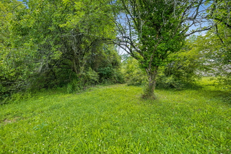Prime Commercial Development Opportunity in Crossville, TN - image 21