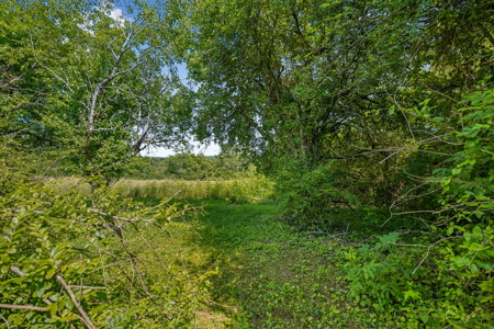 Prime Commercial Development Opportunity in Crossville, TN - image 26