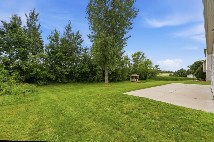 No Caption