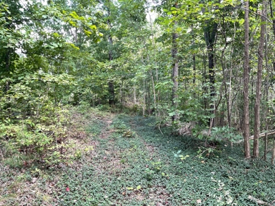 Land for Sale in Maury County, Tennessee - image 16