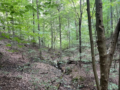 Land for Sale in Maury County, Tennessee - image 27
