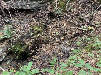 Land for Sale in Maury County, Tennessee - image 26
